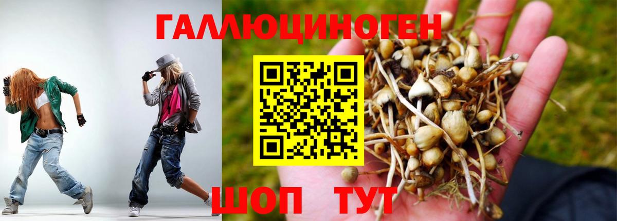 Каменск-Шахтинский  Галлюциногенные грибы прущие грибы  цена наркотик  Вход с VPN 